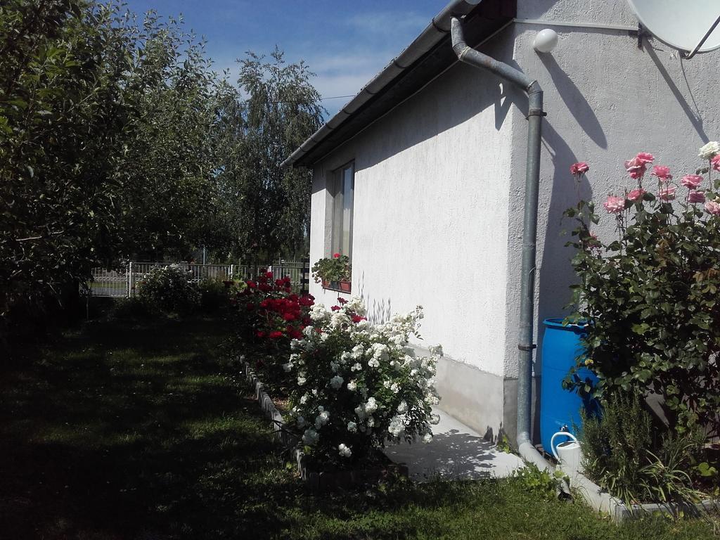 Villa Janos Nyaralo Balatonmáriafürdő Exterior foto